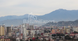 Квартира 63.6 м² - Леха и Марии Качинских, Батуми, Грузия