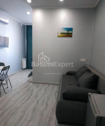 Квартира 19-комн 34 м² - Нико Пиросмани, Батуми