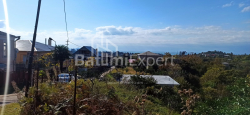 Частный дом 240 м² - Мезгваурта, Чакви, Грузия