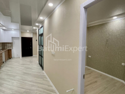 Квартира 50 м² - Шалва Инасаридзе, Батуми, Грузия