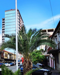 Квартира 80 м² - Ильи Чавчавадзе, Батуми, Грузия