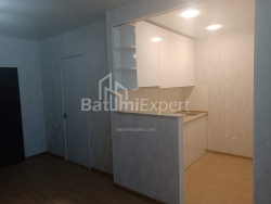 Квартира 46 м² - Нико Пиросмани, Батуми, Грузия