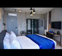 Гостиница 918 м² - Петра Багратиони, Батуми, Грузия
